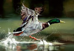 On Your Marks.. by Debbie Boon - Limited Edition on Canvas sized 26x18 inches. Available from Whitewall Galleries